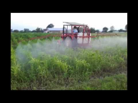 Opryskiwacz zapiąć czas  czyli Oprysk QQrydzy