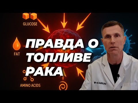 Чем на самом деле питаются раковые клетки | Правда, о которой не говорят