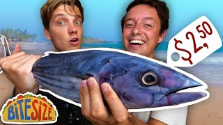 Sri Lankan TUNA Only $2.50 | Budget Chef vs Pro Challenge | Budgeteers Bitesize