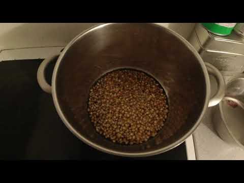 MongoTV_6121 - POPPER POPCORN  ONSDAG AFTEN