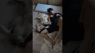 犬と二人暮らし30歳会社員モーニングルーティン