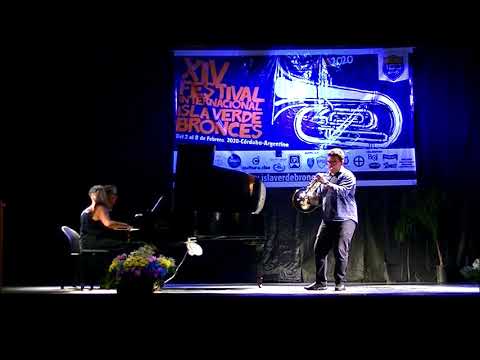 IVB 2020 - Concierto de profesores- Radegundis Tavares - Strauss