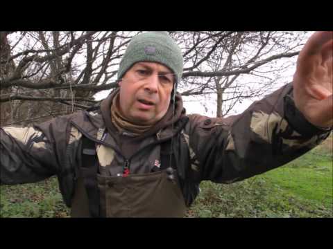 Perch fishing on the Kennet and Avon Canal