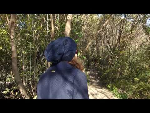 Zapowiedż koncertu SZSZ OL'STARS, Proceente, Benzyna, WdoWA, Kfiat, WSZ