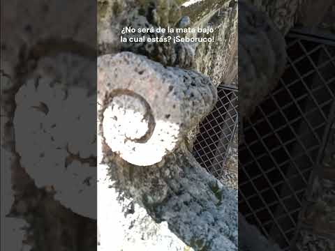 Vedado - Museo (02) Napoleónico de La Habana - Cuba 2025 sept #museonapoleónicodelahabana #cubaahora