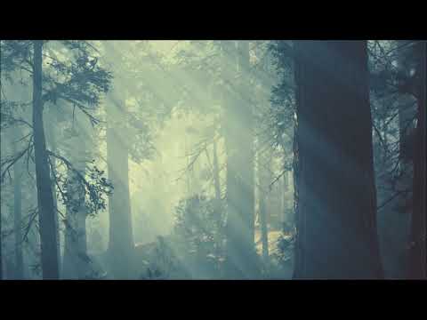 Proxeeus - I Have no Mouth, and I must Scream (Downtempo Electronica) [Full Album]