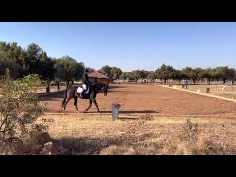 Marlanie Wilkinson, Ollie, Adult Prelim 2, July 2021