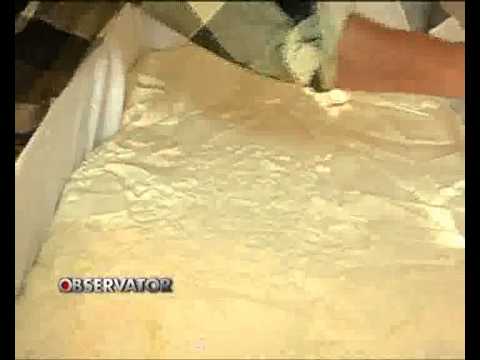 Telemea autentica.flv