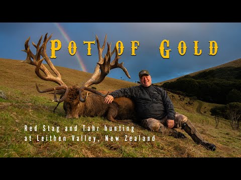 Pot of Gold – Once-in-a-Lifetime Red Stag & Tahr Hunt in New Zealand