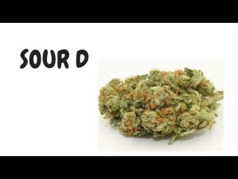 Sour Diesel "Sour D" Strain Guide - Strain Review