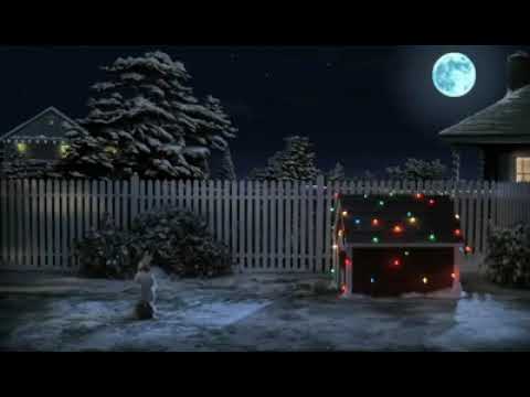 Der Süßer kleiner Hund 🐕 ❤️ 💕