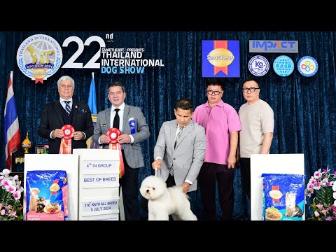 JUDGE MR. GERSON AYALA FROM GUATEMALA 🇬🇹 MAXX THE BICHON BEST OF BREED 1st & BEST IN GROUP 4th