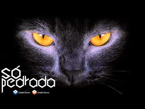 Set Summer Mix 2017 SÓ PEDRADA (DJ PAULINHO)