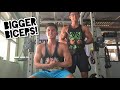 EXTREME BICEPS WORKOUT | BIGGER ARMS DAY BY DAY