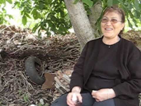 Mustafa Vural Anılar