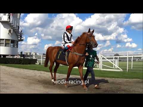 Gon. IV - 5.08.2018 - Salam Al Khalediah (Nashwan Al Khalidiah - Quesche du Paon)