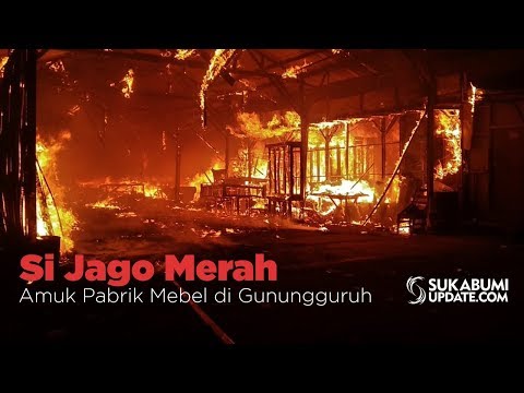 Video: Si Jago Merah Amuk Pabrik Mebel di Gunungguruh