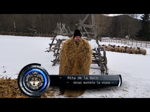 Mita de la Bals - Urcai muntele la stana - New 2023