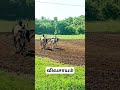 Agriculture Vivasayam Nature Foodmaking Foodlover India Youtubeshortsviral Youtubevideo