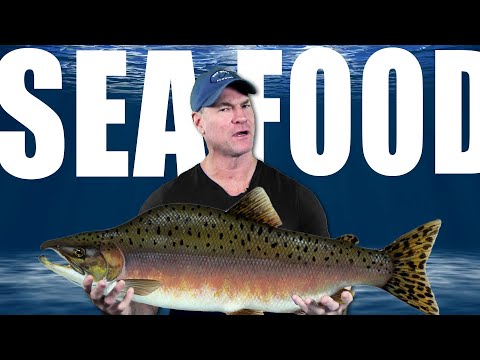 Is Seafood Actually Healthy?