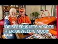 Eef (79) en Marten (79) maken zich op voor bekerfinale handballers Hurry-Up | RTV Drenthe