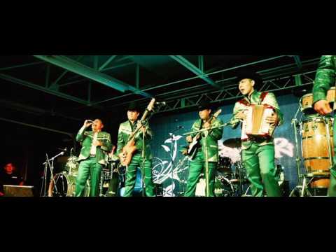 El Palomo y el Gorrión - Ingratos ojos míos  (Video Lyric)