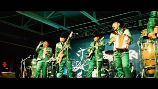 El Palomo y el Gorrión - Ingratos ojos míos  (Video Lyric)