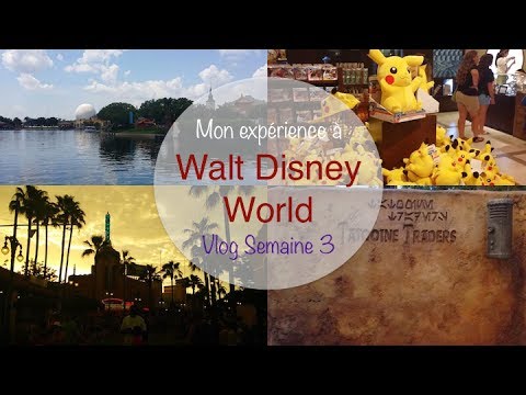 comment postuler a disney world