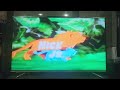 Nick Jr Lions 1999 ID