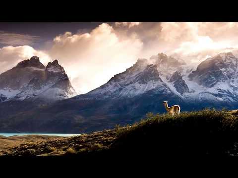 Vientos del Sur (Ramiro de la Zerda)