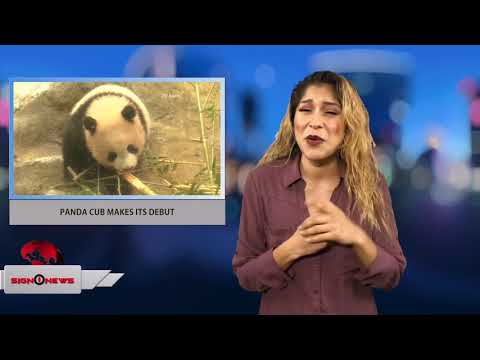 PANDA CUB MAKES ITS DEBUT (Sign1News 12.19.17)