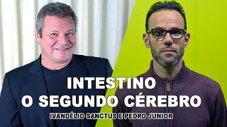 Intestino o segundo CÉREBRO ( Probióticos, Antibióticos )