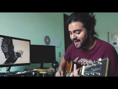 Blackbird | Raul J. Sciamarelli