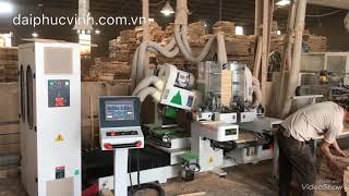 Máy phay mộng dương 2 đầu Woodmaster WM-D200CNC