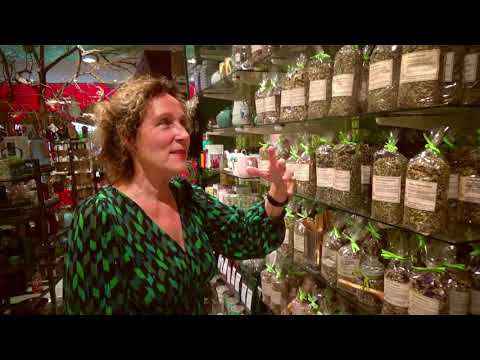 Droguerie Sylvie Pollien, Lausanne