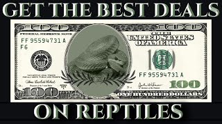 5 TIPS on How to Get the BEST DEALS at REPTILE SHOWS