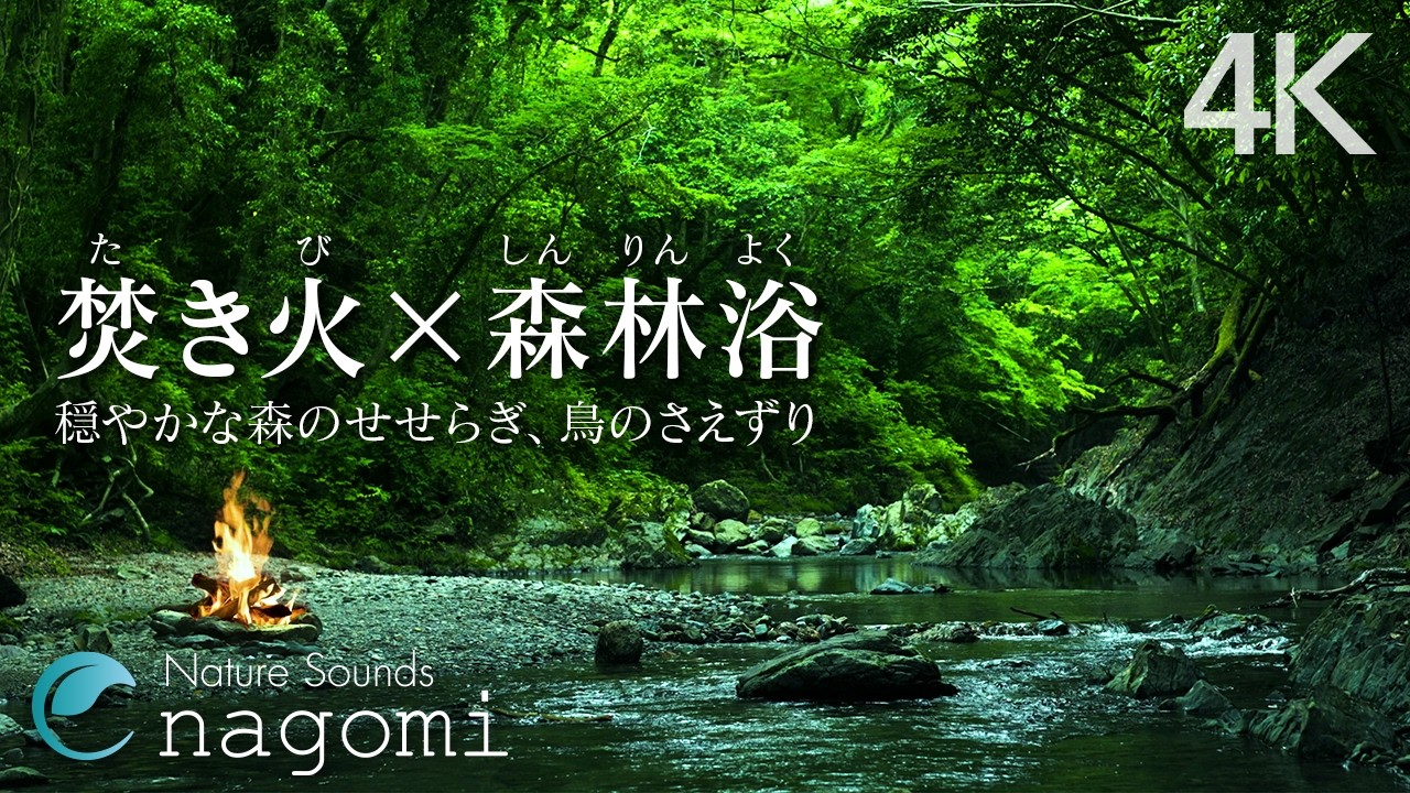 【自然音ASMR】焚き火×森林浴〜穏やかな森の川の音・鳥のさえずり｜勉強・集中・作業用・睡眠・リラックス