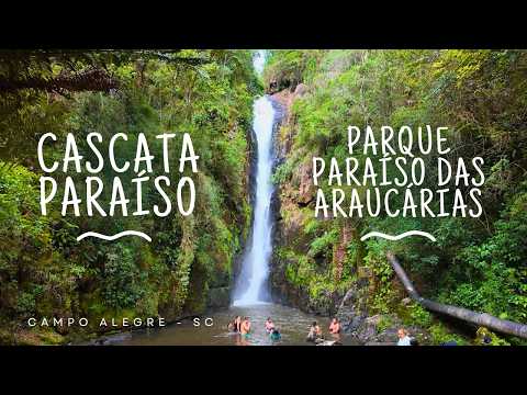 Cascata Paraíso e Parque Paraíso das Araucárias - Campo Alegre (SC)