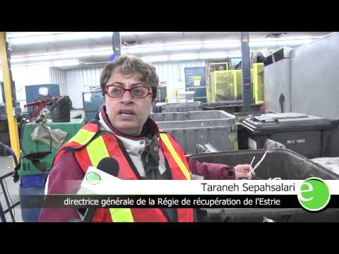 Une petite visite dans un centre de tri près de chez-vous! - Estrieplus