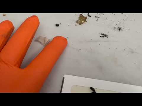 So Much Rodent Poop in the Kitchen in Carteret, NJ