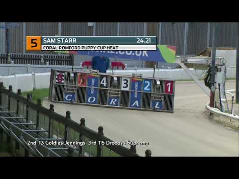 2021 ROMFORD PUPPY CUP - HEAT 1 - T5 SAM STARR