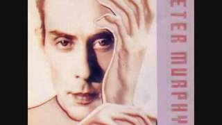 Peter Murphy   My Last Two Weeks  subtitulada