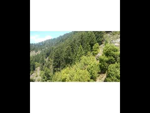 #Dogri Song## Presented by Subash brahamnu video Romesh jabotra 🙏🙏🙏🙏🙏🙏👉🔔👍👈