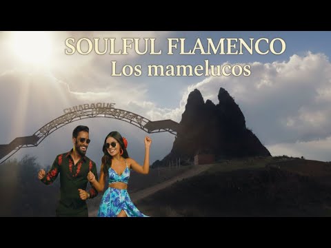 📍Chiaraque, Mecapaca (La Paz - Bolivia) 🚗🌎🎶| Soulful Flamenco — Violin & Accordion | Los Mamelucos