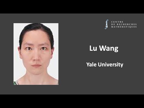 Lu Wang: An Excursion into Mean Curvature Flow