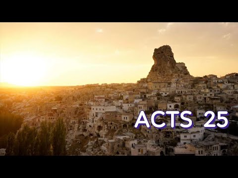 ACTS 25 NIV AUDIO BIBLE