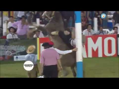 Lindo lo del Pachi Maine vs  El “Pan Crudo” de Piccioni, Jinetes de la Patria  - Jesús María 2016