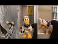 1 Hour Of Donald Ducc FUNNIEST TikToks DO NOT LAUGH OR SMILE CHALLENGE
