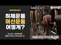 하체운동, 허벅지 뒤쪽 운동, 시티드 레그 컬(Seated leg curl),헬스장기구사용법, 헬스장 운동기구사용법, 헬스장 초보[건디ROY]