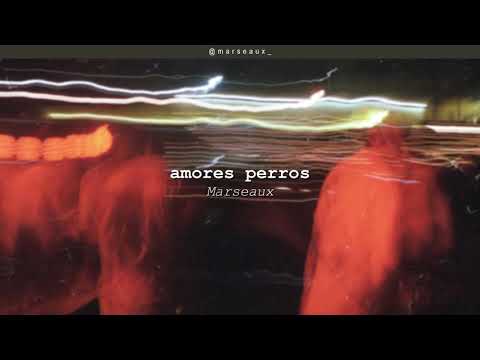 Video thumbnail for Amores Perros